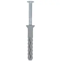 ASF Fischer Asf Nagelplug 6X50Mm Elvz - 100 Stuks