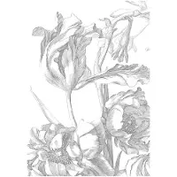 Kek Amsterdam Engraved Flowers Vliesbehang