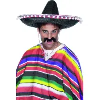 Vegaoo Mexicaanse sombrero voor volwassenen - Verkleedhoofddeksel - One size