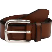 Vanzetti Riem cognac / zilver