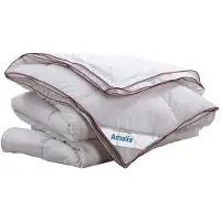 AltijdGoedSlapen Donzen 4-seizoenen dekbed Amalia (200x200 cm)