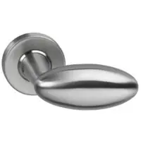Intersteel Gatdeel deurkruk Golfclub op rozet geveerd met ring - RVS