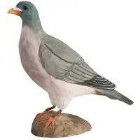 Wildlife Garden DecoBird - Houtduif