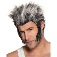 Boland - Pruik Weerwolf Grijs - Steil - Kort - Mannen - Weerwolf - Halloween en Horror