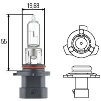Hella 8GH 005 635-161 Gloeilamp, verstraler