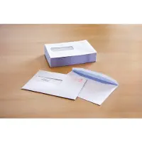 Raadhuis 202060 dienst envelop | gegomd | C5 | venster links | 162mm x 229mm | 500 stuks