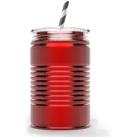 Asobu Drinkbeker Mason Jar I can Rood 540 ml