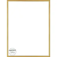 Homedecoration Almelo – Fotolijst – Fotomaat – 58 x 71 cm – Vintage Goud