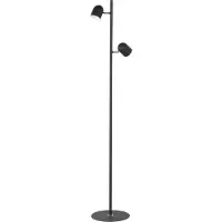 Highlight Vloerlamp Ovale zwart 2-lichts