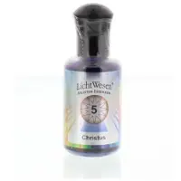Lichtwesen Christus olie 5