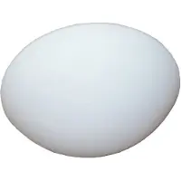 Masterlight Plafondlamp 4 wit rond 25 cm incl. lichtbron