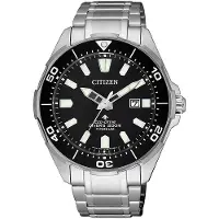 Citizen Promaster Land Heren Zilveren Horloge BN0200-81E