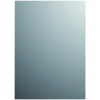 Plieger Spiegel basic sanitair 60x30 cm rechthoekig
