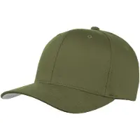 Hoedshop Pet olijfgroen