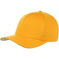 Hoedshop Pet donkergeel