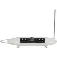 Moog Theremini