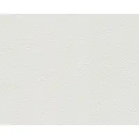 AS-Creation Vliesbehang 1035-12 Meistervlies 2020 pleisteroptiek wit 10,05x0,53 m