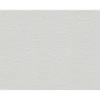AS-Creation MeisterVliesbehang 7 - Wit - 251312