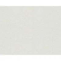 AS-Creation Vliesbehang 5702-15 Meistervlies 2020 pleisteroptiek wit 10,05x0,53 m
