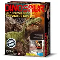 4M Graaf Een Tyrannosaurus Rex Skelet Geologische Set