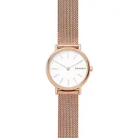 Skagen Signatur SKW2694