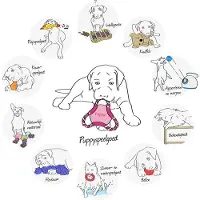 Nylabone dinobone pups tot 10 kg - 1 ST