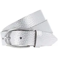 Vanzetti Riem zilver