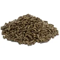 Versele-Laga Pellets Chinchilla&Degu - Chinchillavoer
