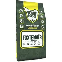 Yourdog foxterri
