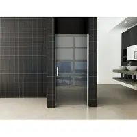 Wiesbaden eco nisdeur met profiel 100x195cm 6mm