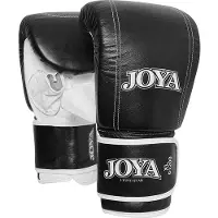 Joya Zakhandschoen Title Leather Black