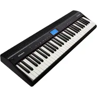 Roland Go:Piano