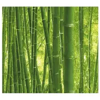 A.S. Création Papierbehang 9387-18 Authentic Walls 2 bamboe groen