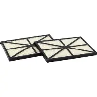Hayward Filtercartridges voor Tigershark / Aquavac 300 zwembadrobot (per 2)