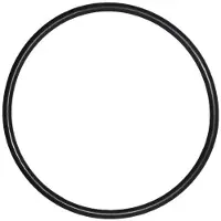 Astral O-Ring voor Deksel Sena zwembadpomp