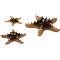 BiOrb zeester set - natuurlijk