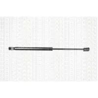TRISCAN Gasdrukveer, kofferruimte 8710 25238 Triscan voor o.a. RENAULT