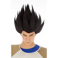Chaks Zwarte Dragon Ball Vegeta Saiyan pruik voor volwassenen