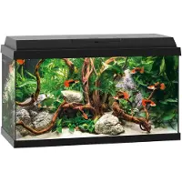 Gebr. De Boon Juwel aquarium Primo 60 met filter zwart Juwel