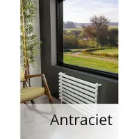 Eastbrook Tunstall handdoek verwarming 56x100cm Antraciet 693 watt