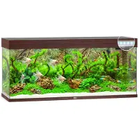 Juwel Aquarium Rio 240 Led Met Filter D.Bruin