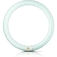 Philips Ronde TL 40W/840 TLE coolwhite 5900617