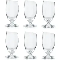 Eva Solo Glazenset Schnaps (Set van 6)