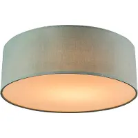 QAZQA Plafondlamp groen 30 cm incl. LED - Drum LED