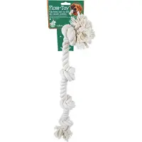 Gebr. De Boon Floss-toy wit 4-knoop Speelplezier-hond