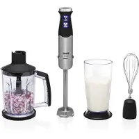 Princess Hand Blender Set