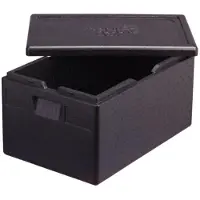Thermo Future Box Thermobox Eco 21L