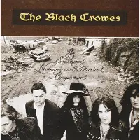 Universal Music The Black Crowes - The Southern Harmony And Musical Companion (CD)