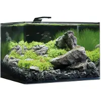 Dennerle ScapersTank 55 L - 55 L