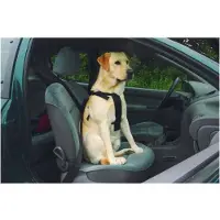 Beeztees wandel- en autogordel hond L